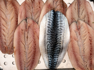 Makreel (100 gram)