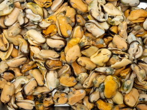 Mosselen (100 gram)