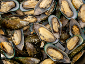 Mosselen halfshell (100 gram)