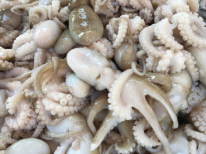 Octopus (100 gram)